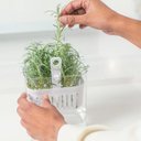 Ver imagem 4 de Organizador de Temperos com Cesto para Geladeira - 1,5l ou