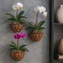 Ver imagem 2 de Vaso de Parede Meia Lua de Ferro Verde 25cm com Fibra de Coco - Xcm25