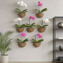 Ver imagem 5 de Vaso de Parede Meia Lua de Ferro Verde 25cm com Fibra de Coco - Xcm25