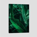 Ver imagem 1 de Quadro Folhagem Tela No Chassi 63X42Cm