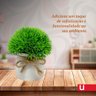 Vaso Decorativo com Planta Permanente Folhagens 15x8cm Urban - 4