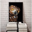 Ver imagem 2 de Quadro Fotografia Coruja- Fundo Preto 24x18cm - com Vidro:madeira Branca