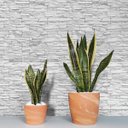 Ver imagem 1 de Papel de Parede Adesivo Pedra Canjiquinha Branca Rolo 15m