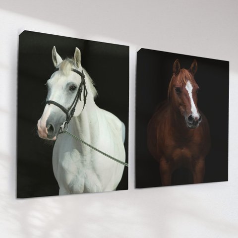 Quadro Decorativo Cavalos Kit 2 Quadros