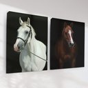 Ver imagem 1 de Quadro Decorativo Cavalos Kit 2 Quadros