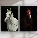 Ver imagem 2 de Quadro Decorativo Cavalos Kit 2 Quadros