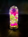 Ver imagem 1 de Luminária a Rosa Encantada a Bela e a Fera o Pequeno Príncipe Amor Lindo Média - Púrpura