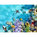 Ver imagem 2 de Papel de Parede Animais Fundo do Mar Coral 3d Anm219