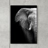 Quadro Decorativo Elefante Preto e Branco QV.0346.01.01.01 Euronobre - 50x80x3cm - 1