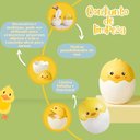 Ver imagem 6 de Lixeira Multiuso Decorativa Pintinho 19cm N2446944 - Quanhe