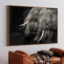 Ver imagem 1 de Quadro Decorativo Elefantes em Moldura Caixa Tacolado Moldura Trad 1cm Branca sem Vidro 30 X 40cm