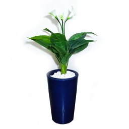 Copo de Leite Decoração Realista + Vaso Decorativo - 2
