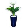 Copo de Leite Decoração Realista + Vaso Decorativo - 2