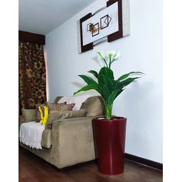 Copo de Leite Decoração Realista + Vaso Decorativo - 6