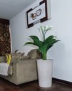 Ver imagem 5 de Copo de Leite Decoração Realista + Vaso Decorativo