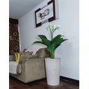 Ver imagem 5 de Copo de Leite Decoração Realista + Vaso Decorativo