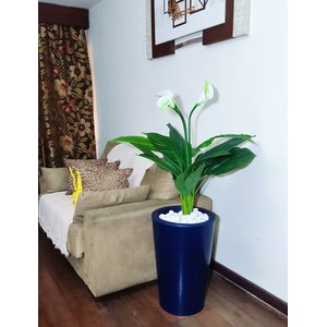 Copo de Leite Decoração Realista + Vaso Decorativo