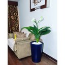 Ver imagem 1 de Copo de Leite Decoração Realista + Vaso Decorativo