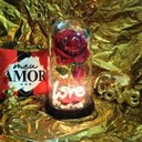 Ver imagem 5 de Luminária Love a Rosa Encantada Vermelha 28 Cm Presente para Namorada Presente de Natal Presente Dia