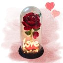 Ver mais imagens de Luminária Love a Rosa Encantada Vermelha 28 Cm Presente para Namorada Presente de Natal Presente Dia