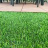 Grama Sintética Noronha Paisagista Premium - 20mm de Altura (1m²) Padrão Europeu - 2m de Largura - 9