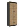Armário Locker Guarda Volume 60x160cm em Mdp 8 Portas com Chave Me4202 - 2