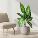 Ver mais imagens de Conjunto 8 Arbustos Filodendro Artificiais Planta Permanente Folhagem Duradoura Decoração Realista