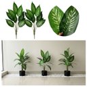 Ver imagem 5 de Kit 5 Plantas Artificiais Comigo Ninguém Pode Decoração Ambiente Interno Árvore Decorativa