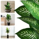 Ver imagem 3 de Kit 5 Plantas Artificiais Comigo Ninguém Pode Decoração Ambiente Interno Árvore Decorativa