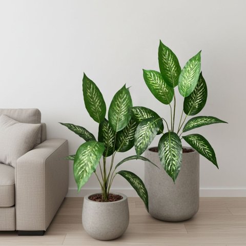 Kit 5 Plantas Artificiais Comigo Ninguém Pode Decoração Ambiente Interno Árvore Decorativa