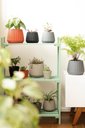 Ver imagem 6 de Vaso Cachepot Wave 25 Cm Sortido Mor