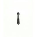 Ver imagem 3 de Parafuso Allen Bucha Guia Pinça Freio F4000 85/.. M12X95Mm