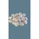 Ver imagem 2 de 200 Ponteira Interna Bola 1 Polegada Cadeira:branco