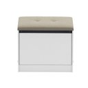 Ver imagem 4 de Sapateira 1 Porta Basculante com Almofada Casa a