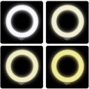 Ver imagem 4 de Ring Light 16cm Led Bicolor Dimmer C/tripé Blog Make Up
