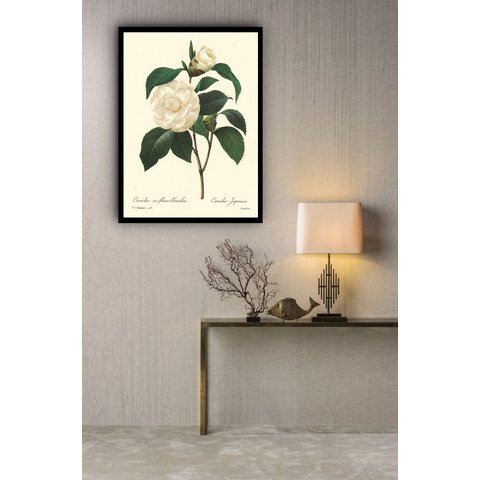 Quadro Decorativo Botânica Flor Camélia - 70x50cm:moldura Preta