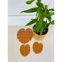 Ver imagem 6 de Descanso de Panela e Copo Costela de Adão Tereza Arts