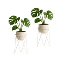 Ver imagem 1 de Kit 2 Suportes Tripé 45x15 para Vaso de Chão em Aço Carbono - Médio Nv516bpg