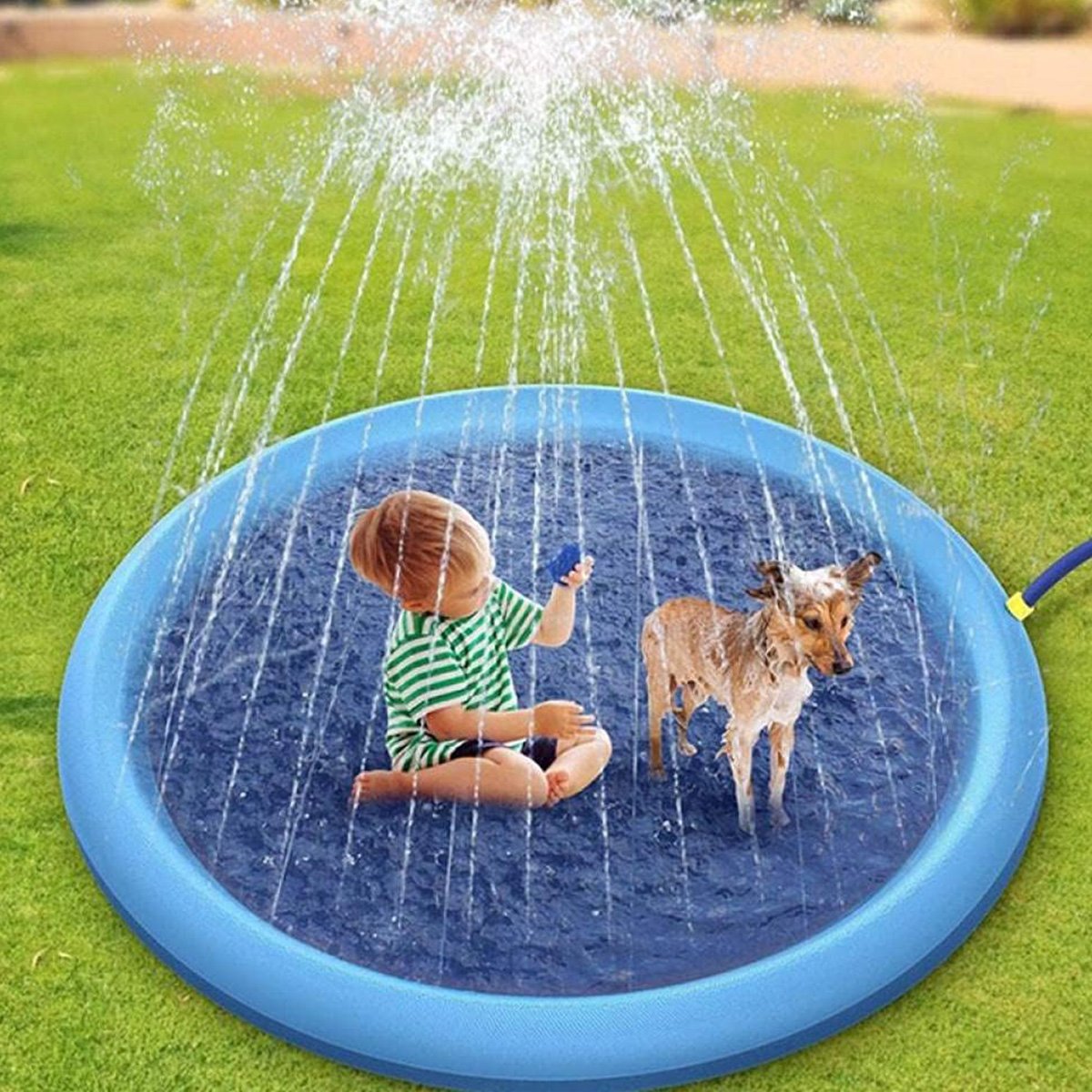 Piscina Tapete Chafariz Inflavel Fonte Agua Pet Cachorro Criança Verao Sol Calor Divertido Camping J - 6