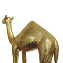 Ver imagem 4 de Escultura Dromedário Decorativa Dourada em Poliresina 25x25cm