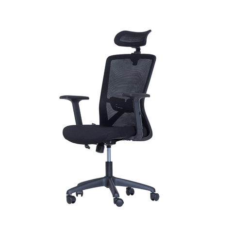 Cadeira de Escritório Ergonômica Nr17 Presidente Premium Dallas Office Preta