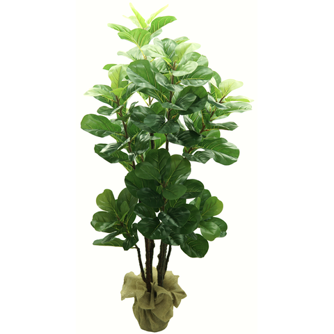 Arvore Planta Ficus Lyrata 4 Hastes 150cm Folahgem Realista