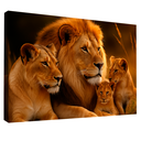 Ver imagem 1 de Quadro Decorativo Família Celestial de Leões