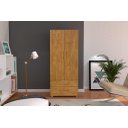 Ver imagem 1 de Roupeiro / Multiuso Am 2 Portas Cor Ipê