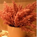 Ver imagem 4 de Arranjo de Flores Envelhecidas Pink no Vaso Bege 28cm | Beleza Atemporal Formosinha