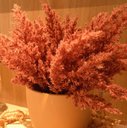 Ver imagem 4 de Arranjo de Flores Envelhecidas Pink no Vaso Bege 28cm | Beleza Atemporal Formosinha