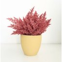 Ver imagem 2 de Arranjo de Flores Envelhecidas Pink no Vaso Bege 28cm | Beleza Atemporal Formosinha
