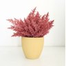 Arranjo de Flores Envelhecidas Pink no Vaso Bege 28cm | Beleza Atemporal Formosinha - 2