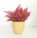 Ver imagem 2 de Arranjo de Flores Envelhecidas Pink no Vaso Bege 28cm | Beleza Atemporal Formosinha
