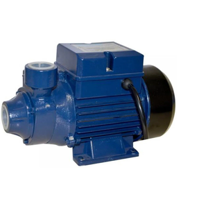 Motobomba Eletroplas Ics-50ab 0,5cv Monofasica 110/220v